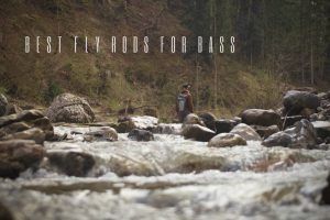 Best Fly Rods for Salmon Fishing in 2024 - Buyers Guide