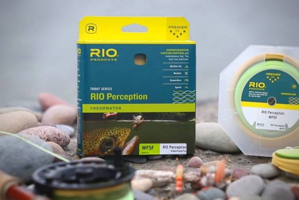 Rio Perception Fly Line Review in 2024