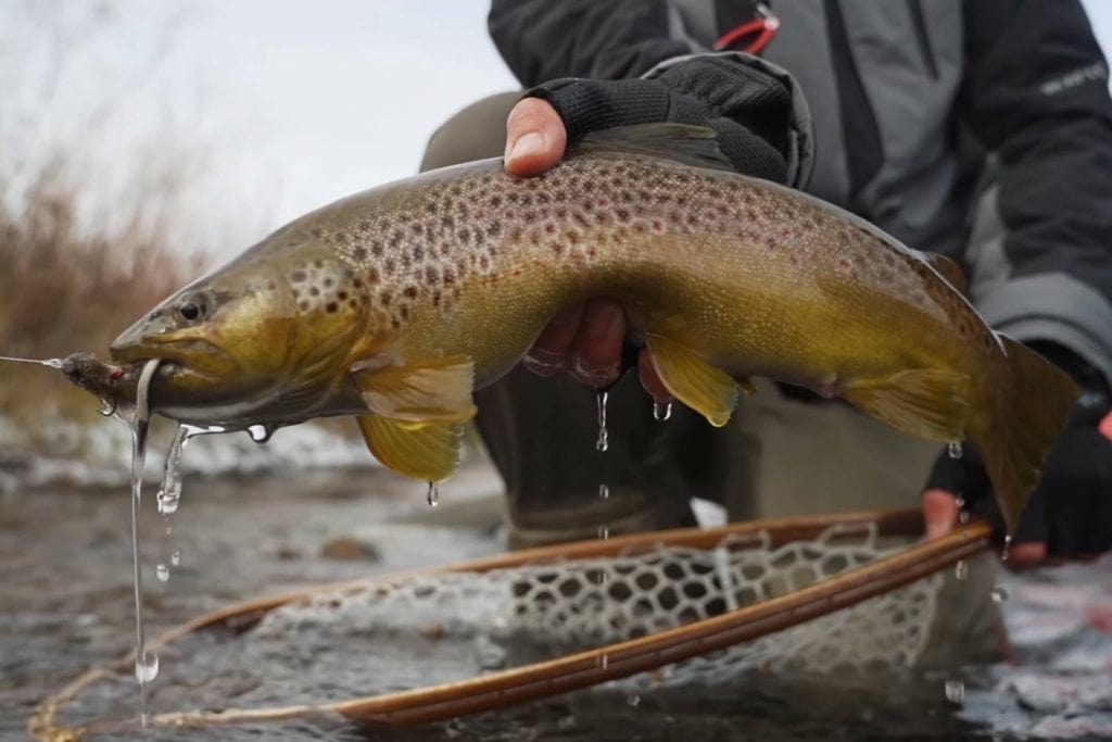 The 3 Best Gloves for Winter Fly Fishing in 2024 - Buyers Guide
