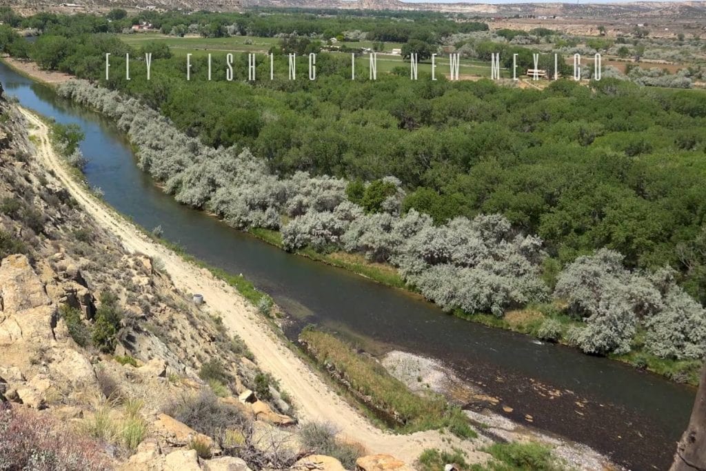 fly fishing new mexico